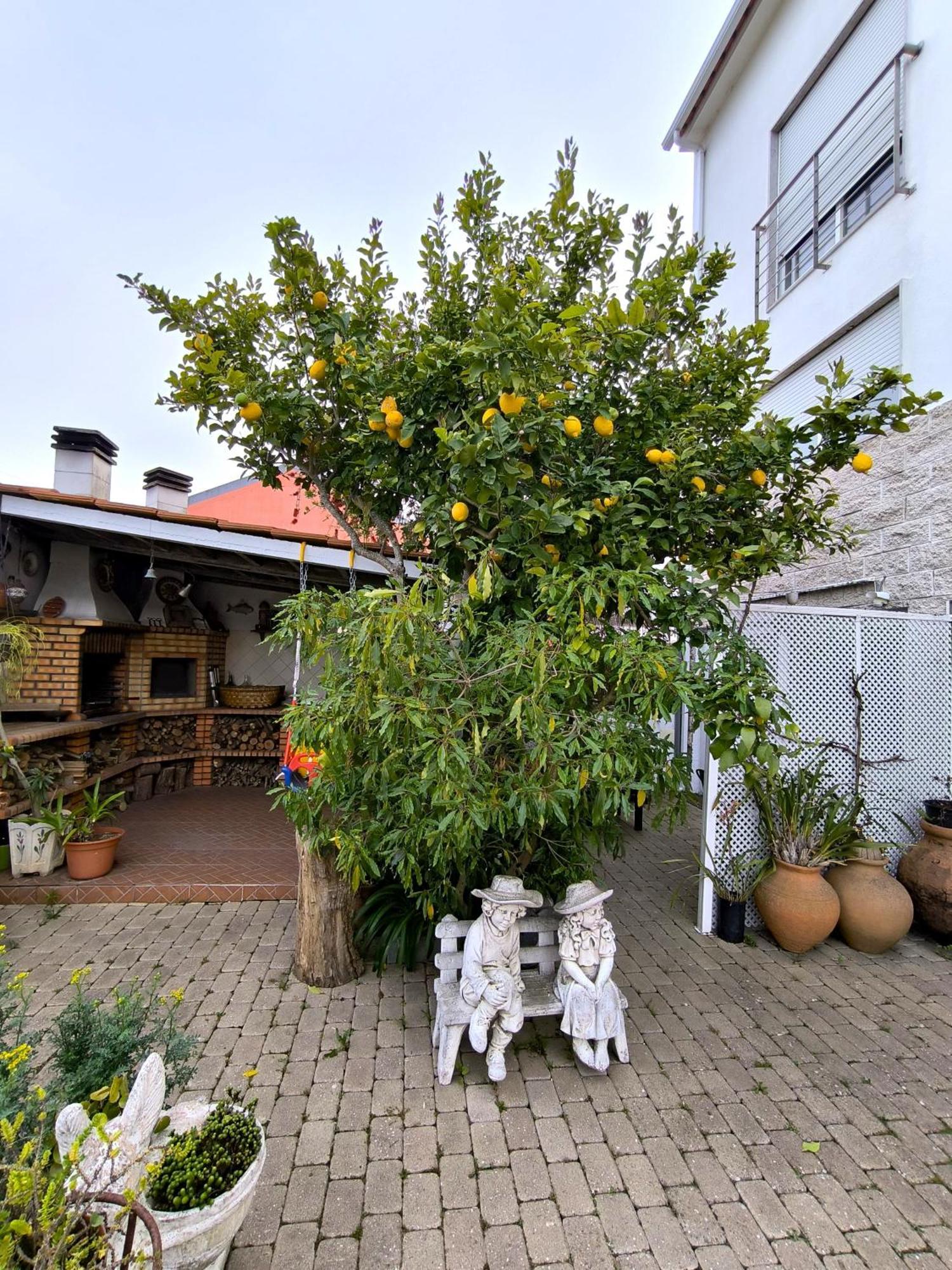 The Sun House Apartment Santa Iria de Azoia Exterior foto